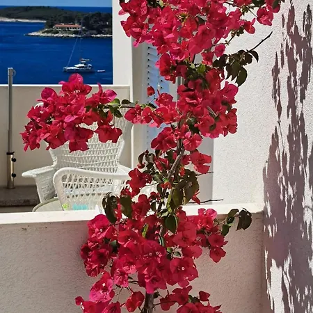 Sea View Apartamento *